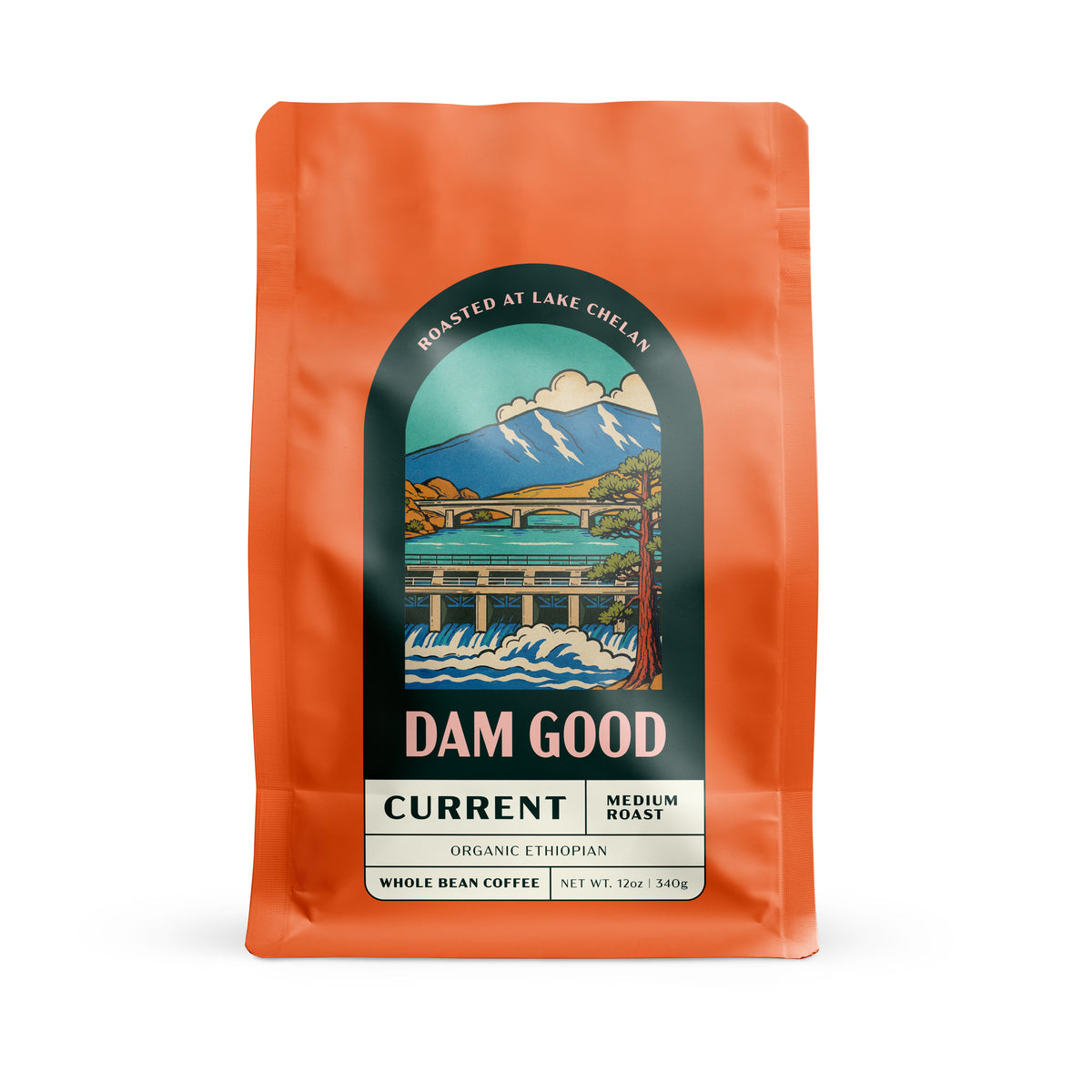 Dam Good Coffee CURRENT medium roast Organic Ethiopian whole bean coffee, 12 oz bag